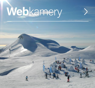 Webmkamery